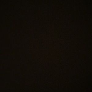 Meet your Posher, Shawntavia